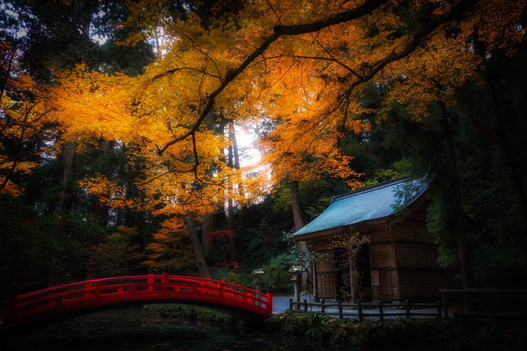 小國神社　紅葉