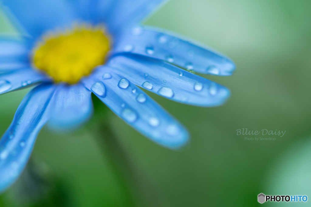 Rainy Day