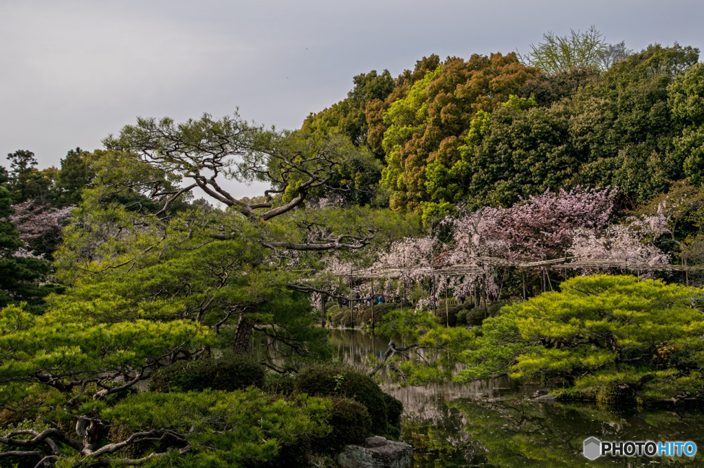 平安神宮