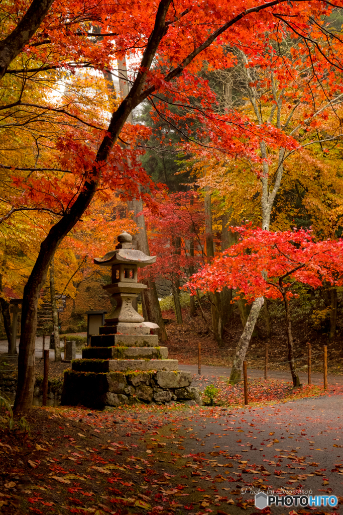 比叡山横川中堂　