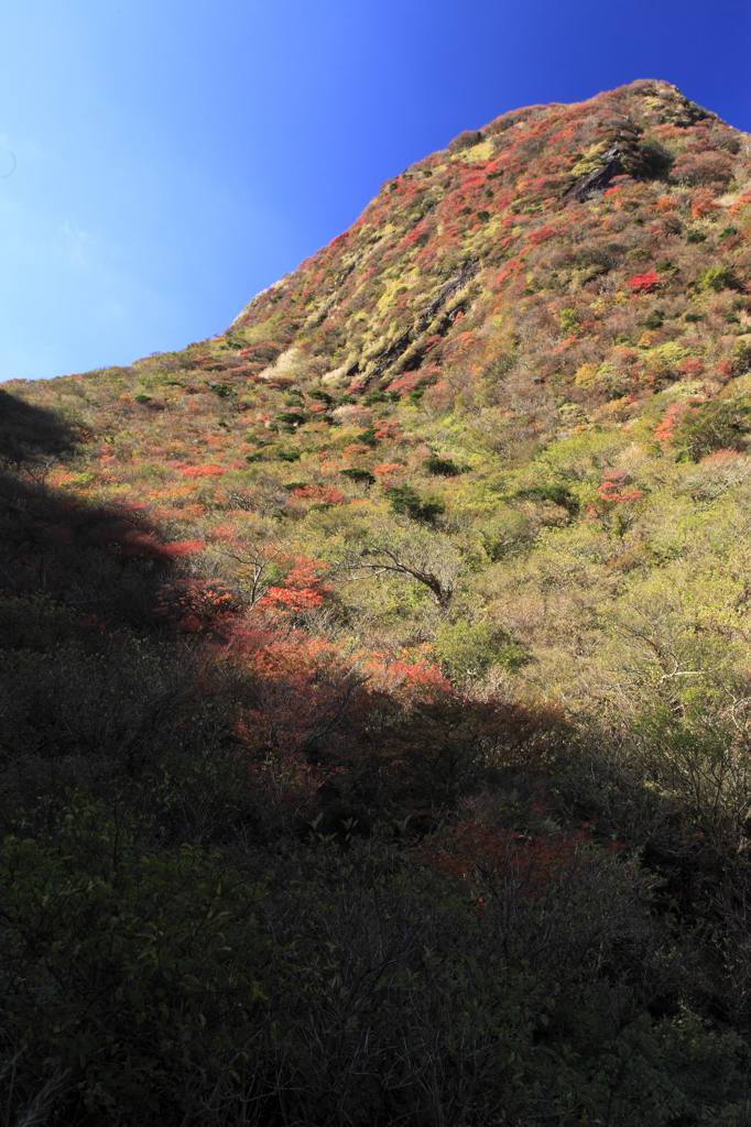 雲仙普賢岳の紅葉