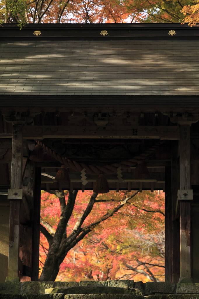 両子寺の紅葉