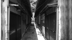 無題。