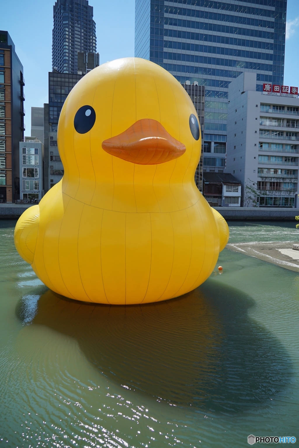 ラバー・ダック