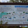 木津川流れ橋（上津屋橋）
