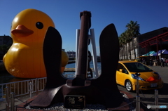 ラバー・ダック