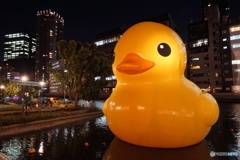 ラバー・ダック