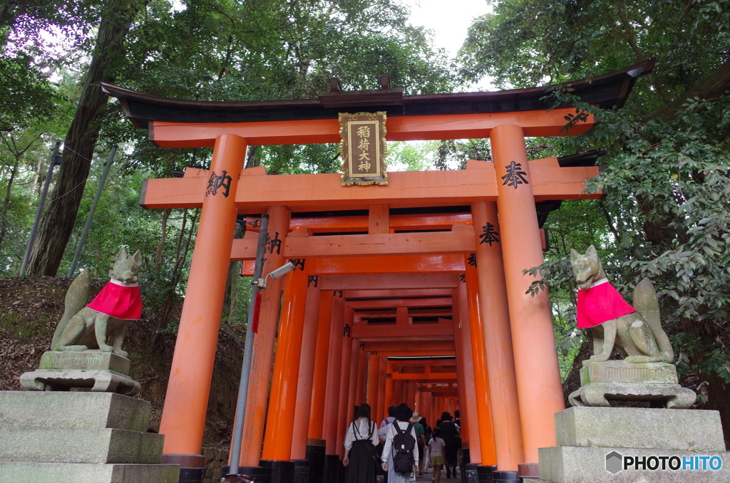 伏見稲荷神社