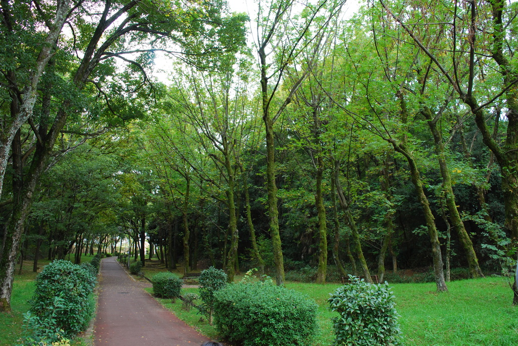 秋っぽくない風景②