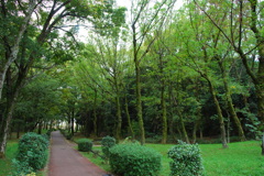 秋っぽくない風景②