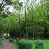 秋っぽくない風景②