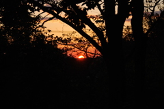 夕陽