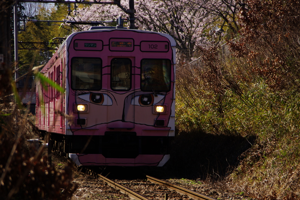 伊賀鉄道