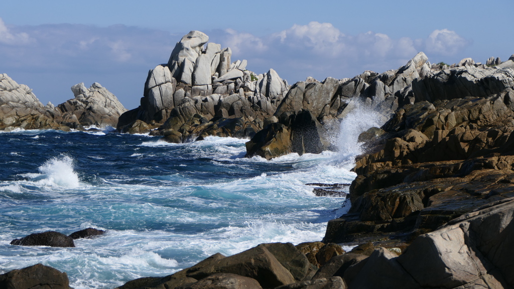 奄美諸島　４島巡り