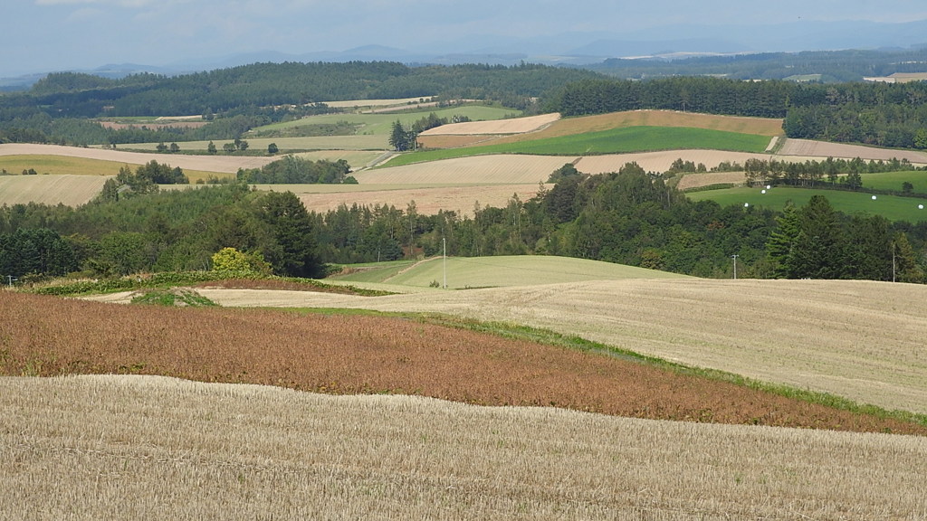 富良野のパッチワーク