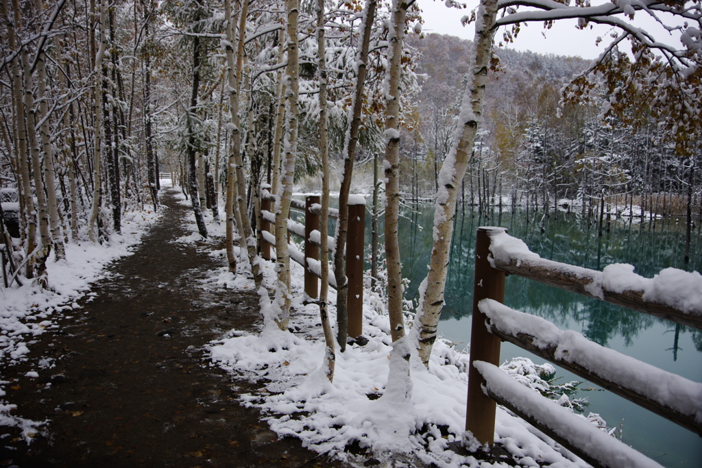 青い池が雪景色に