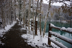 青い池が雪景色に