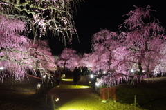 鈴鹿の森庭園