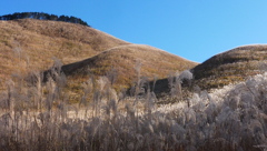 曽爾高原