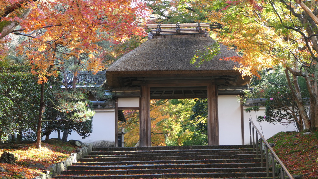 京都　法然院山門