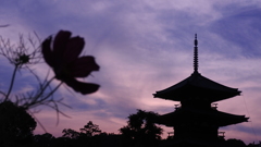 梅雨時の夕暮れ