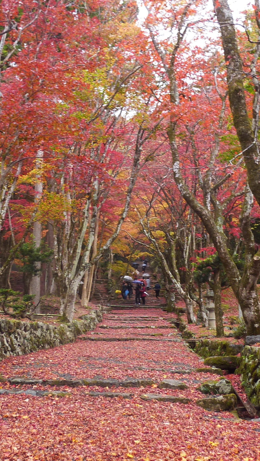 鶏足寺