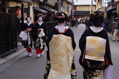 舞子さんの新年挨拶回り