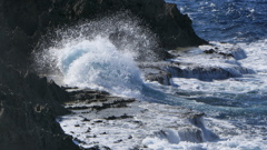 奄美諸島　４島巡り