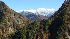 奥黒部渓谷展望ツアーで見える山々