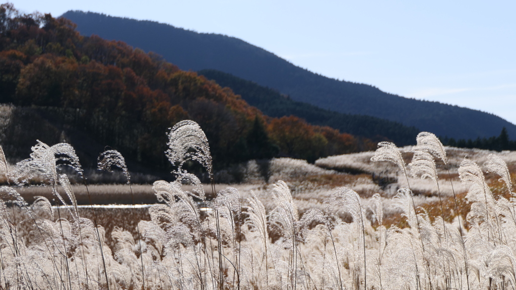 曽爾高原