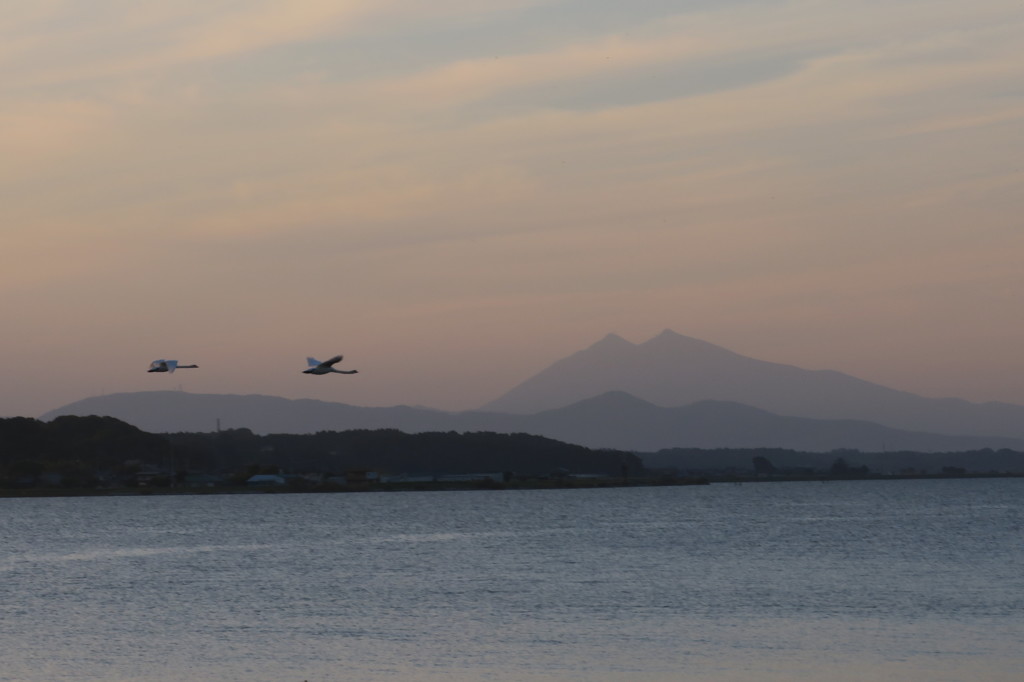 霞ヶ浦夕景