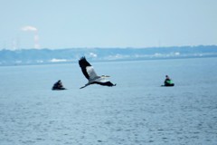 霞ヶ浦を飛ぶ（１）