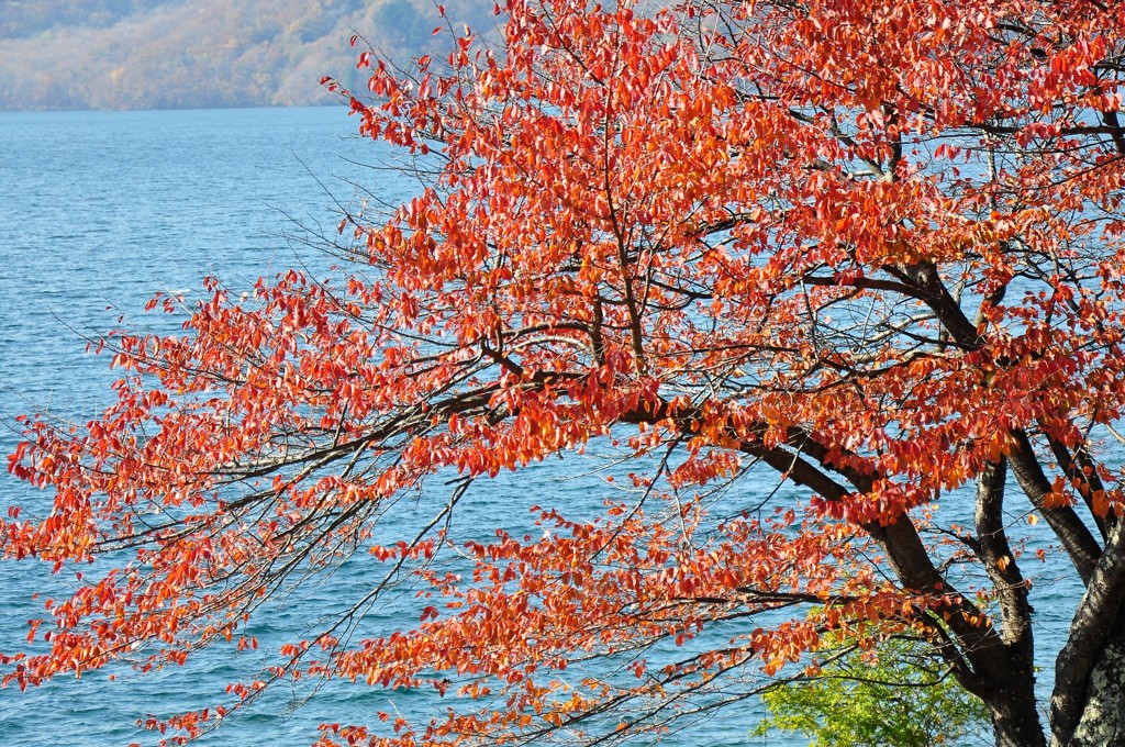 日光中禅寺湖の秋２