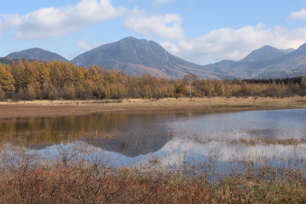 晩秋の小田代ヶ原２