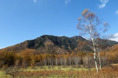 晩秋の小田代ヶ原１