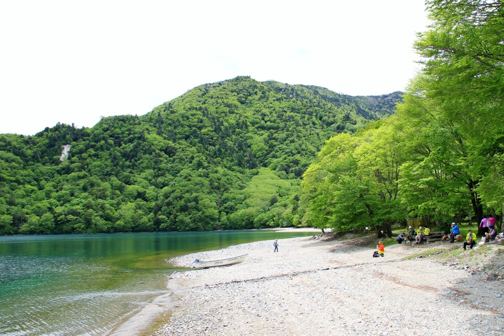 千手ヶ浜の新緑１