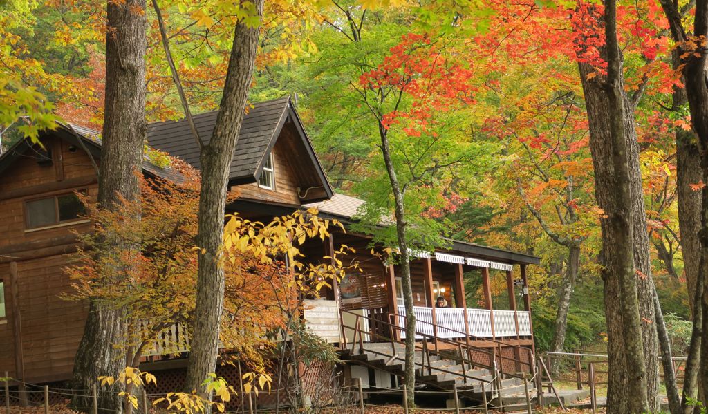 秋色に染まる森のカフェ
