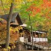 秋色に染まる森のカフェ