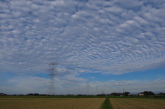 田園地帯とうろこ雲