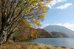 日光千手浜の紅葉