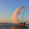 夕日に染まる帆引き船
