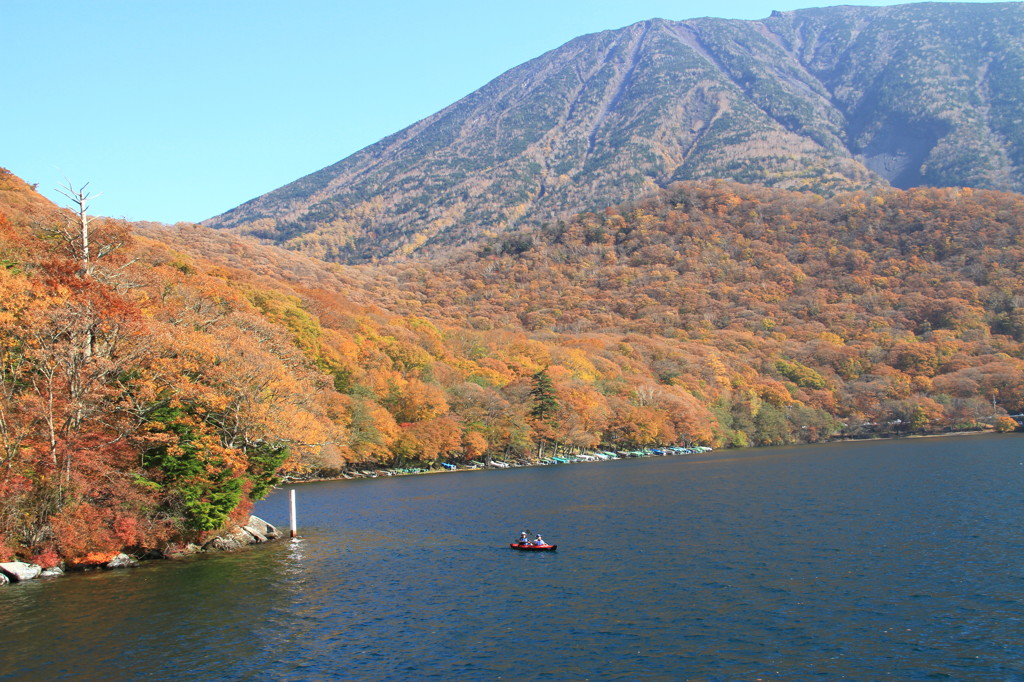 紅葉に遊ぶ