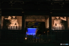 称名寺ライトアップ