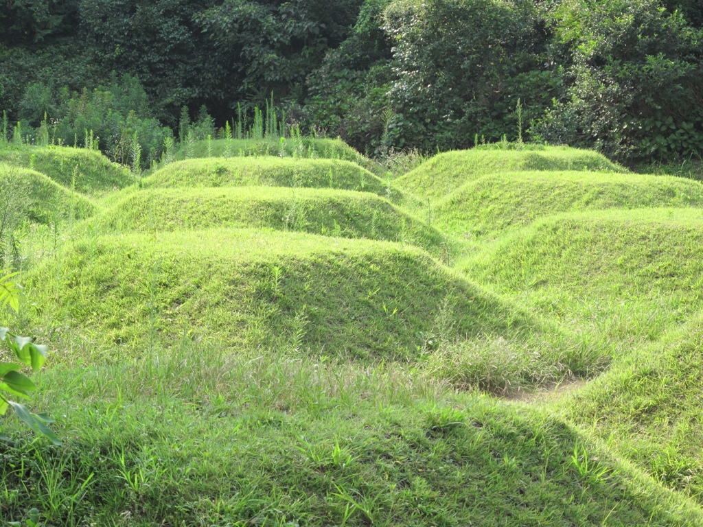 子供がワクワクしそう