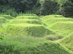 子供がワクワクしそう
