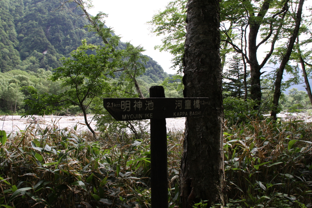 目指せ　明神池