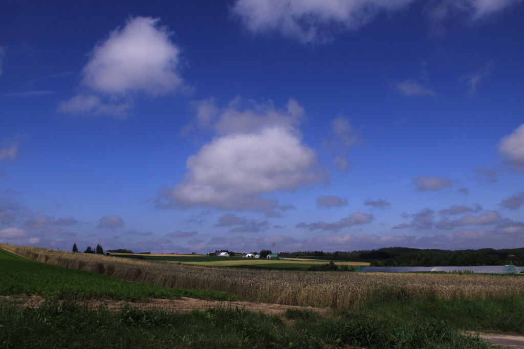 北海道