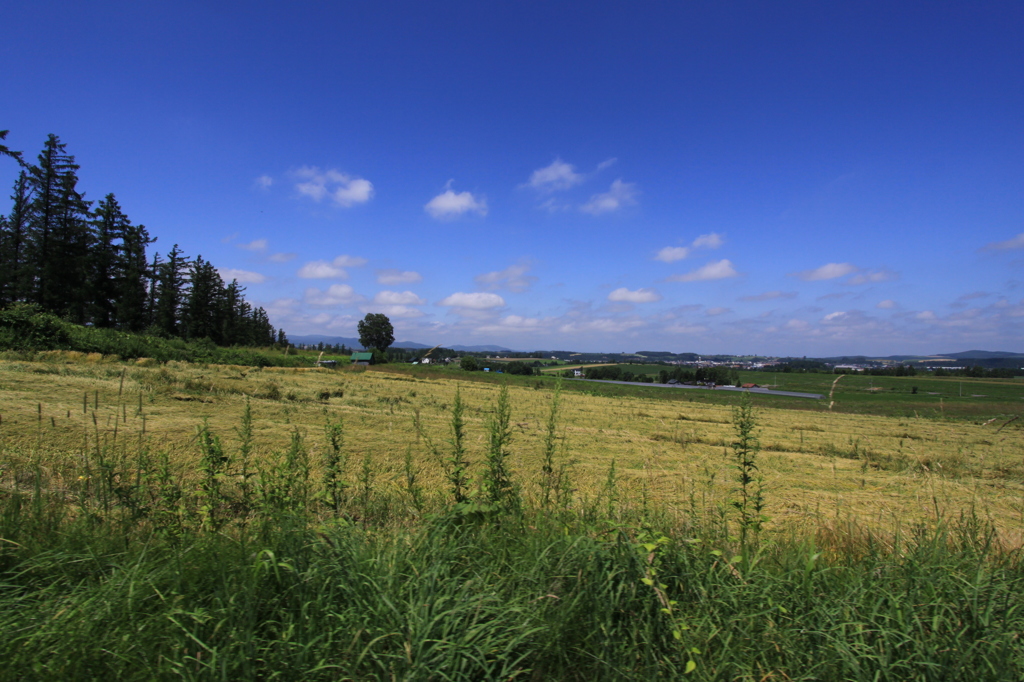 北海道