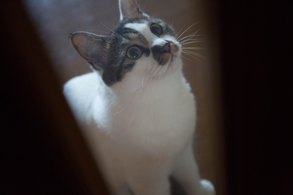 Yuki＊