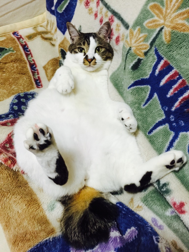 ずでーん